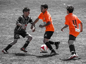 华体会app功能-NBA最佳新秀竞争激烈 三人数据旗鼓相当,nba最佳新秀含金量 第3张